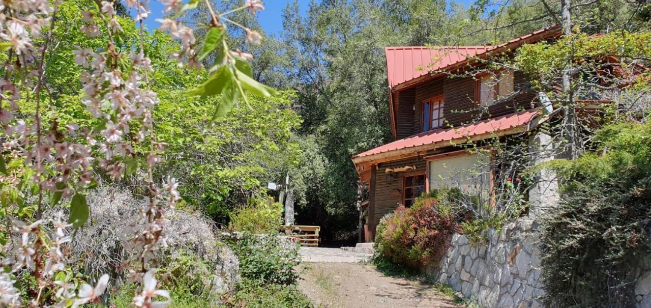 Casa De Montana Inmersa En Bosque Nativo San José de Maipo Exteriér fotografie